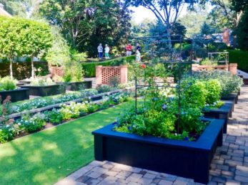 Ideas for designing with vegetables – Toronto Gardens