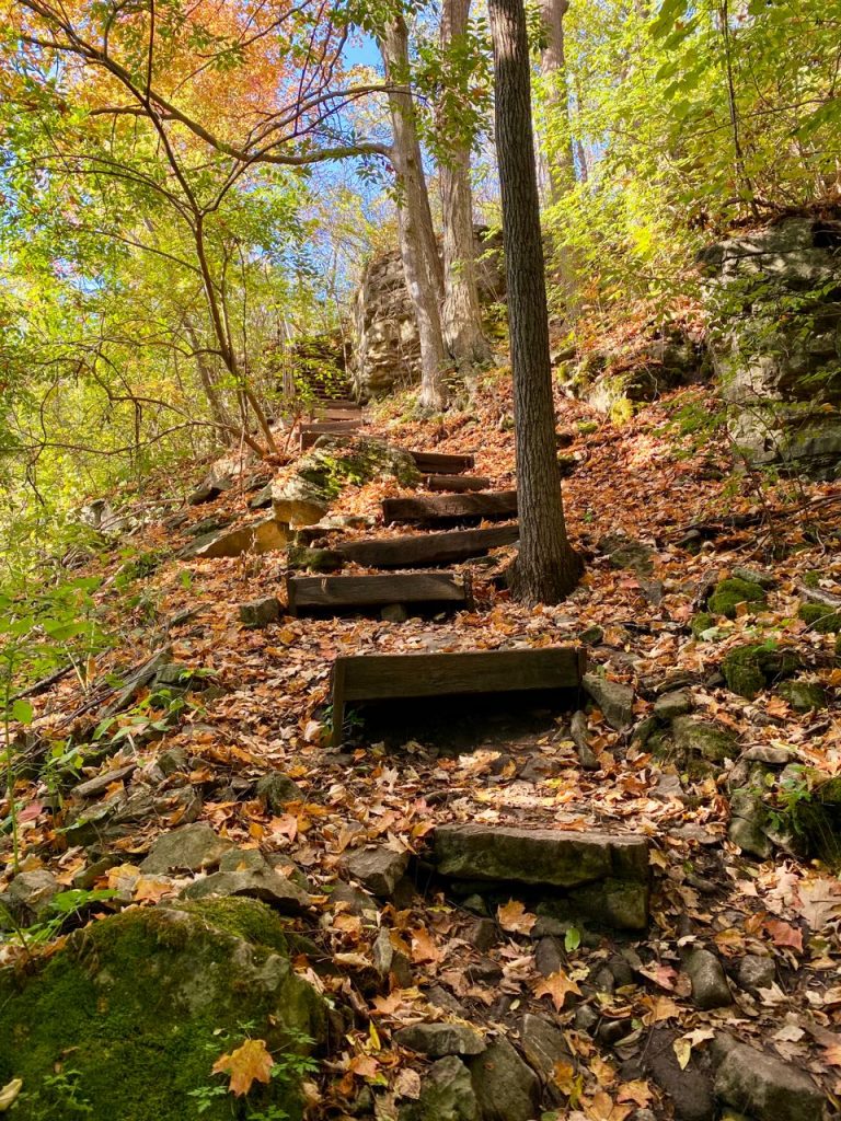 Steps to the top of the Bruce Trail near Dundas, Ontario