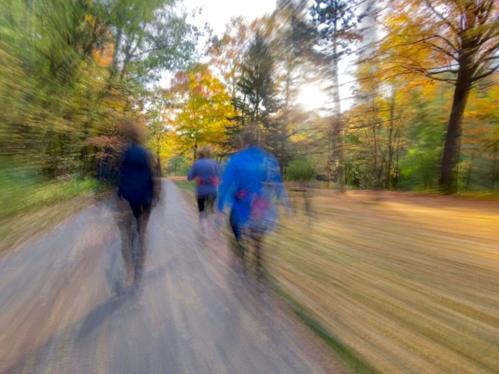 Walkers in a park surrounded by trees